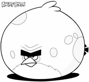 Angry Bird Coloring Pages Free to Print   JU7zm