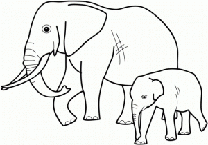 Animals Coloring Pages for Toddlers   MHTS9