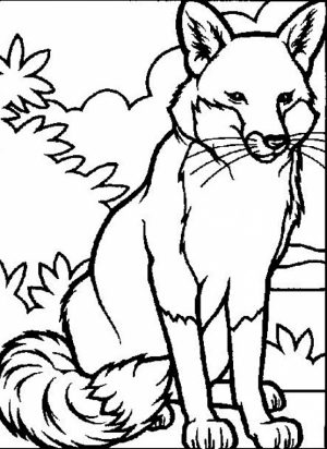 Animals Coloring Pages Online Printable   B6QSA
