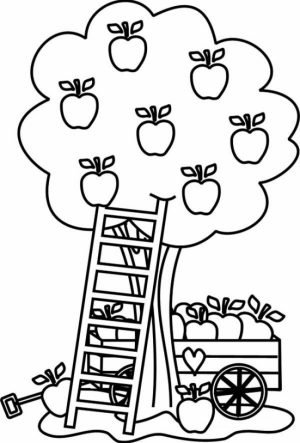 Apple Coloring Pages Free Printable   fyo108