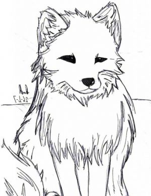Artic fox coloring pages – 98994
