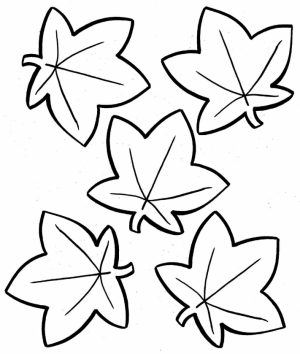 autumn leaves coloring pages   8fgt5