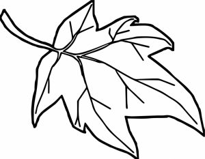 autumn leaves coloring pages   atdf3