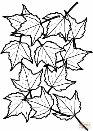 autumn leaves coloring pages   atsg4
