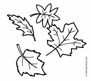 autumn leaves coloring pages   tagw0