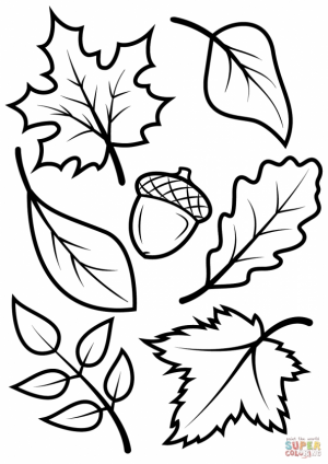 autumn leaves coloring pages   ufg5a