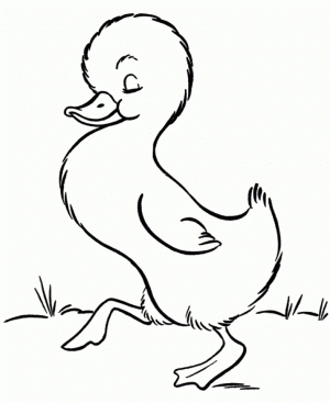 Baby Animal Coloring Pages Free Printable   51582