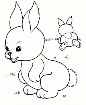 Baby Bunny Coloring Pages for Toddlers   21536