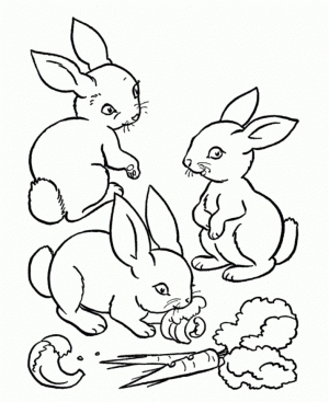 Baby Bunny Coloring Pages for Toddlers   31633