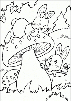 Baby Bunny Coloring Pages for Toddlers   31662