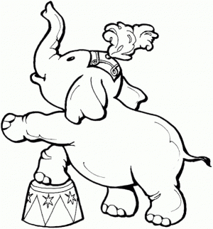 Baby Elephant Coloring Pages   58042