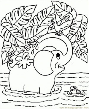Baby Elephant Coloring Pages   679532