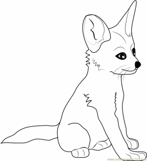 baby fox coloring pages   1n38v
