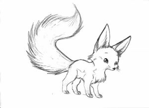 baby fox coloring pages   7ah3m