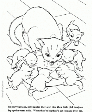 Baby Kitten Coloring Pages   75616