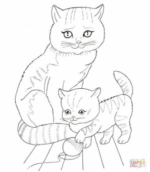 Baby Kitten Coloring Pages   91628