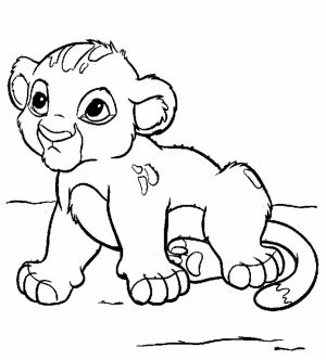 Baby Lion Coloring Pages for Kids   67424