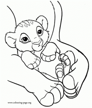 Baby Lion Coloring Pages for Kids   96962