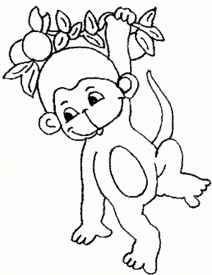 Baby Monkey Coloring Pages   31062
