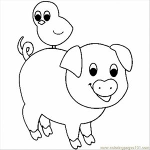 Baby Pig Coloring Pages   3ah59