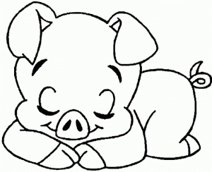 Baby Pig Coloring Pages   47l5u