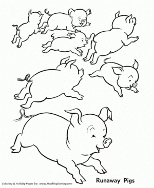 Baby Pig Coloring Pages   jf631