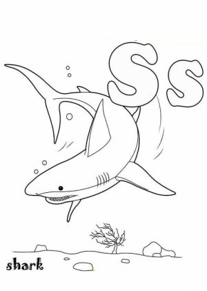 Baby Shark Coloring Pages   41702