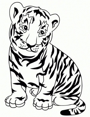 Baby Tiger Coloring Pages for Kids   67318