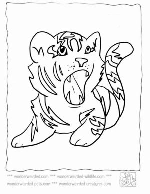 Baby Tiger Coloring Pages to Print   80413