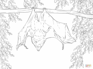 Bat coloring pages for adults   77192