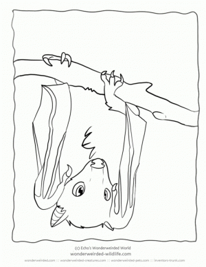 Bat Coloring Pages for Kids   67318