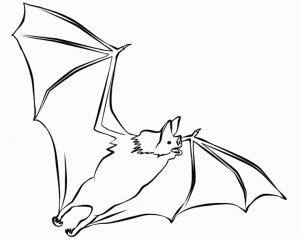 Bat Coloring Pages Free   51327