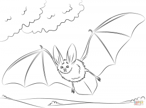 Bat coloring pages free to print   90578