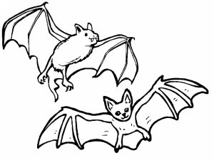 Bat Coloring Pages Printable   37154