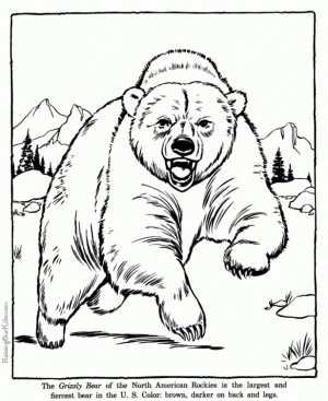 Bear Coloring Pages for Kids   ight9