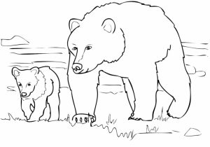 Bear Coloring Pages for Kids   tsf47