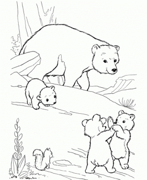 Bear Coloring Pages for Kids   yah50
