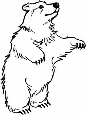 Bear Coloring Pages Free to Print   ya3m9