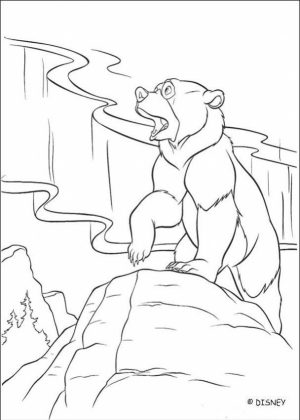 Bear Coloring Pages Printable   tar31