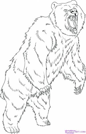 Bear Coloring Pages to Print   64173