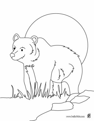 Bear Coloring Pages to Print   64521