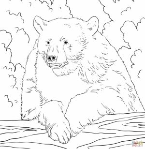Bear Coloring Pages to Print   96721