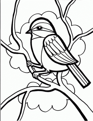Bird Coloring Pages for Kids   04750