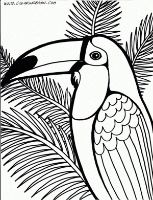 Bird Coloring Pages for Kids   13267