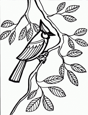 Bird Coloring Pages for Kids   21536