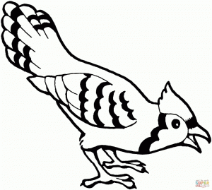 Bird Coloring Pages for Kids   71645