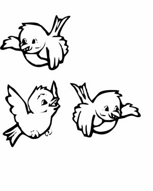 Bird Coloring Pages for Kids   93869