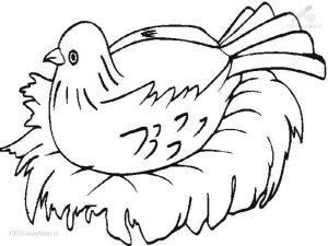 Bird Coloring Pages Free Kids Printable   41663