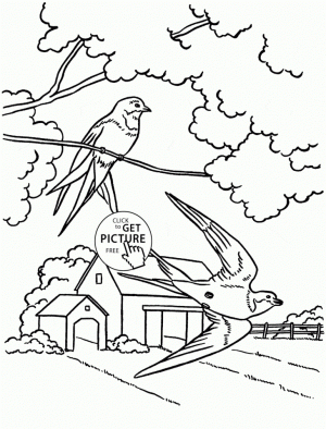 Bird Coloring Pages Free Online   57153