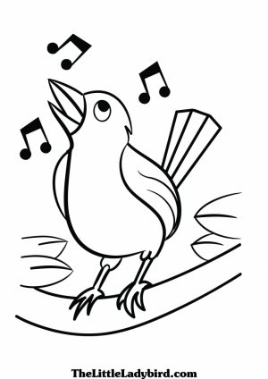 Bird Coloring Pages Free Online   72718